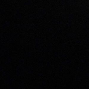 Meet your Posher, Dane